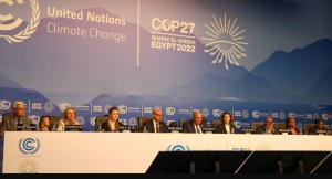 कोप-२७ को विभिन्न सत्रका वार्ता र छलफल हुँदै